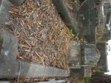 image of grave number 835358